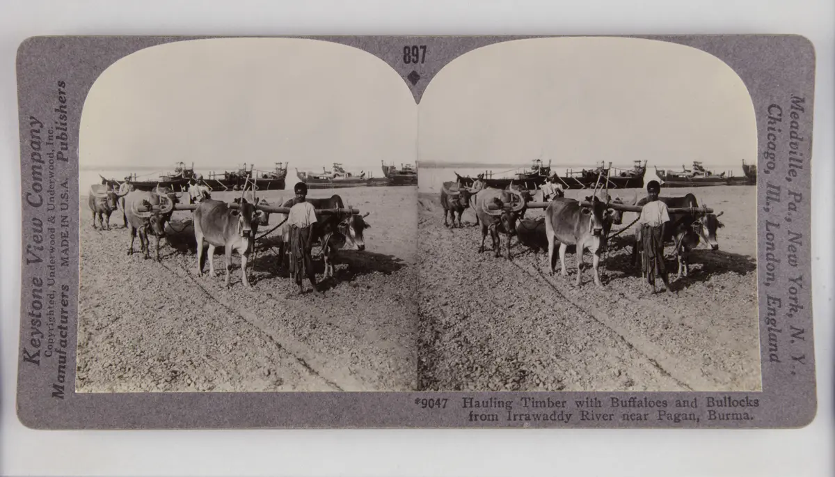 Stereofotografie, SW