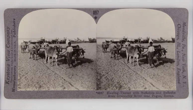 Stereofotografie, SW