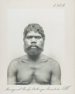 Aboriginal Chief, Bellinger River tribe, N.S.W.