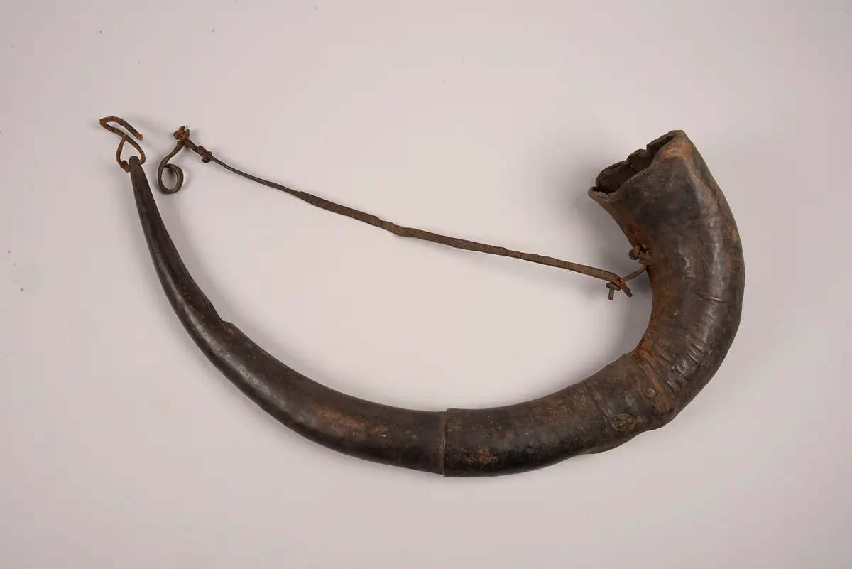 Blasinstrument