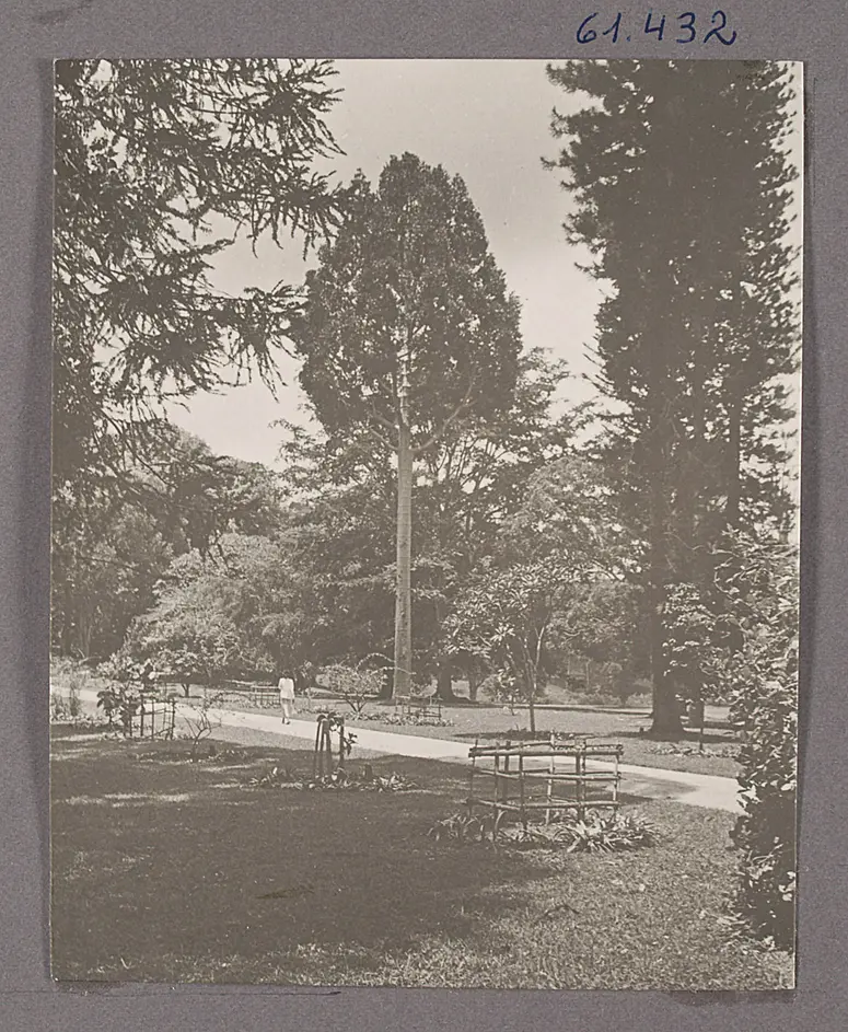 Kandy auf Ceylon