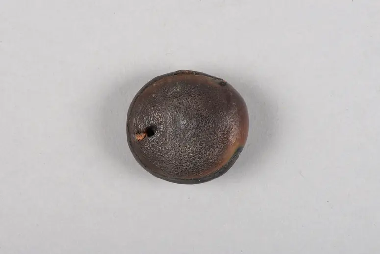 Samenkapsel (Amulett)