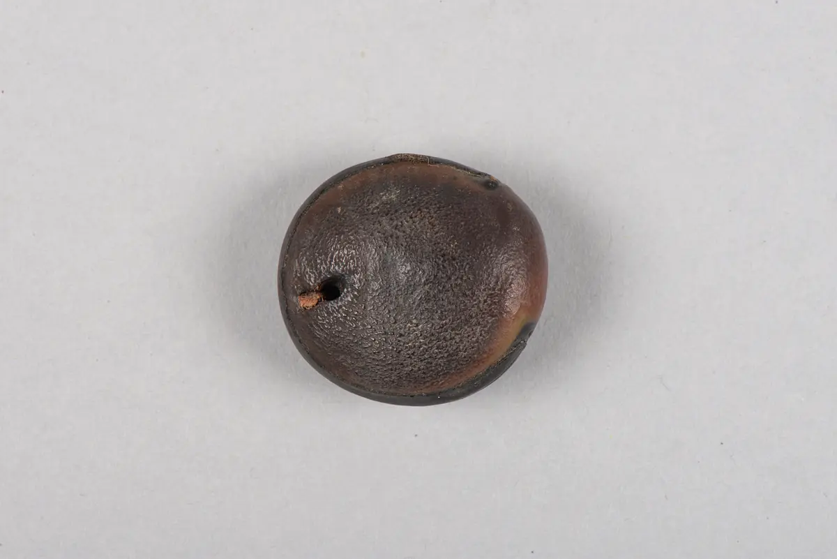 Samenkapsel (Amulett)