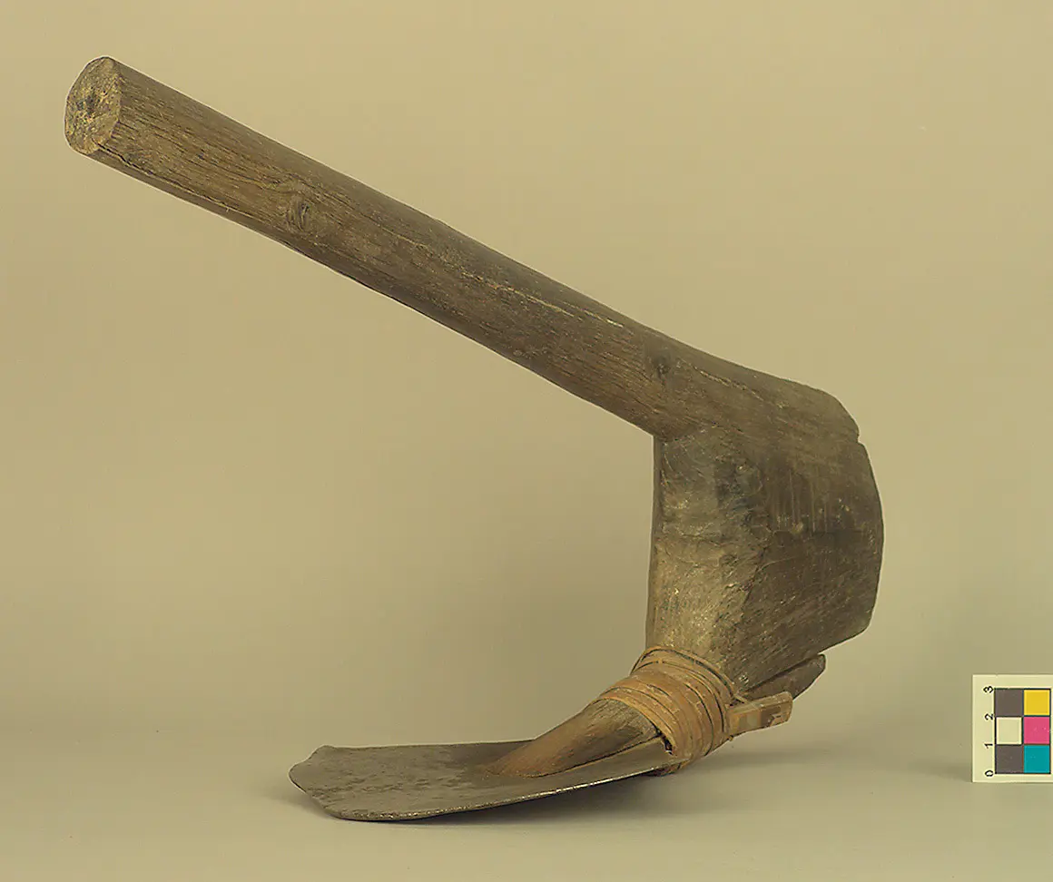 Hoe