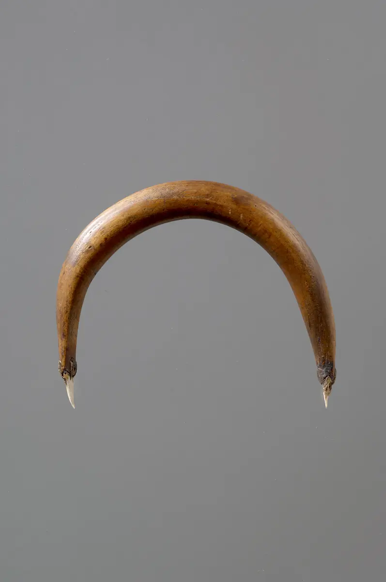 Gravierinstrument mit Haizähnen