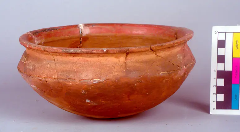 Bowl