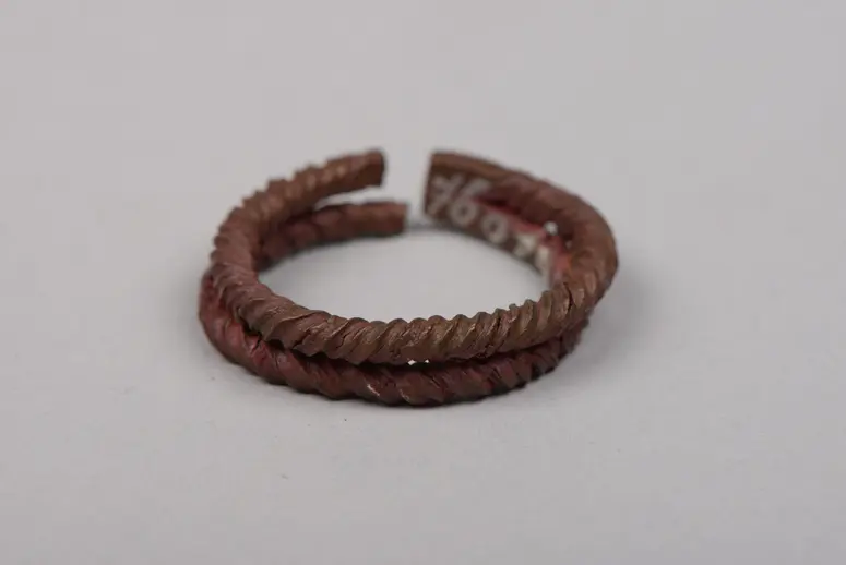 Ohrschmuck