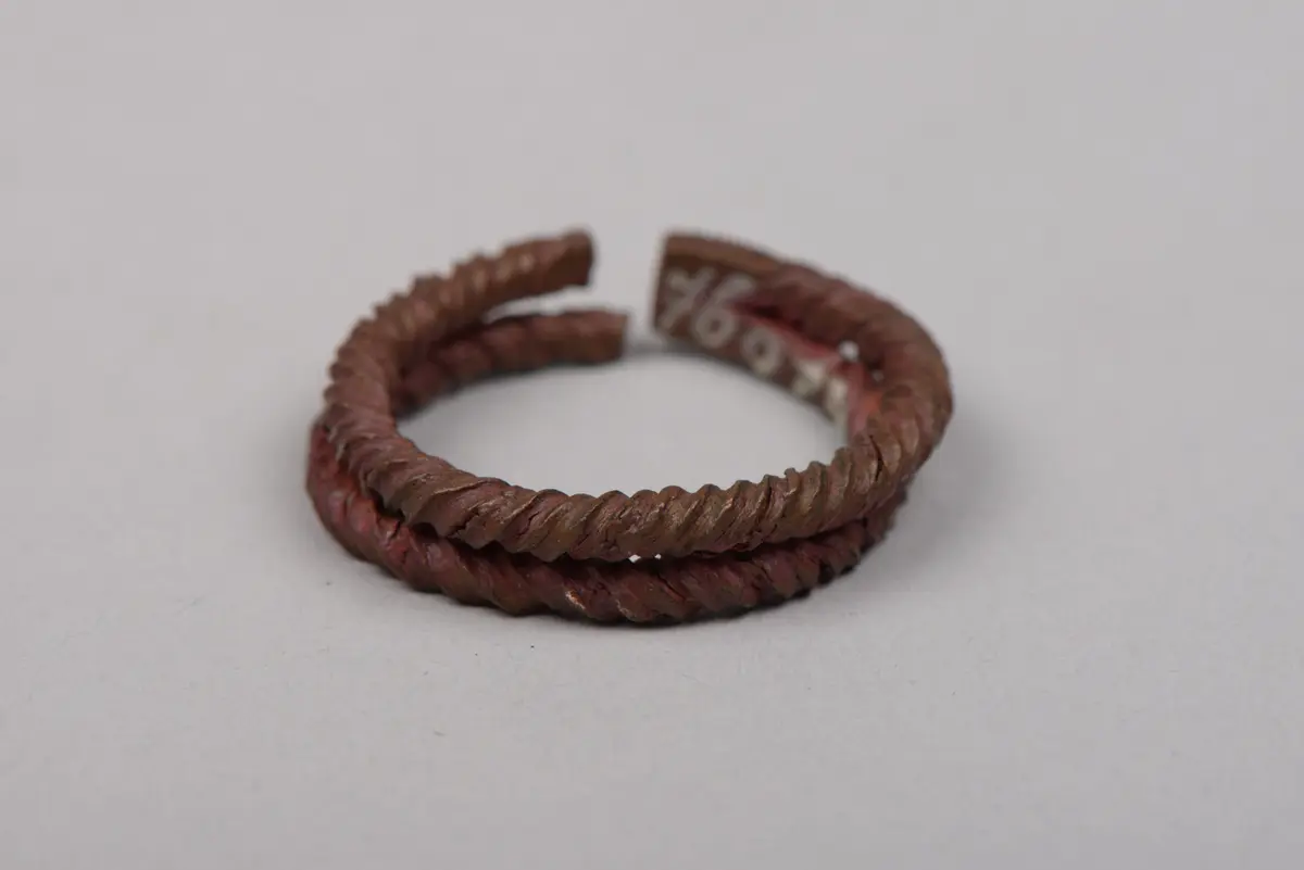 Ohrschmuck