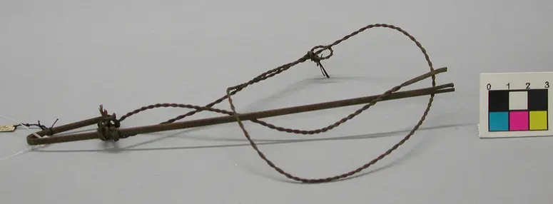 Vogelschlinge