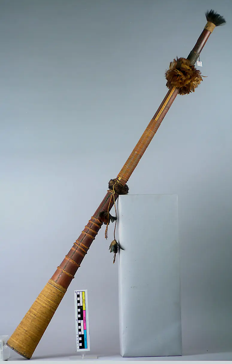 Signalhorn