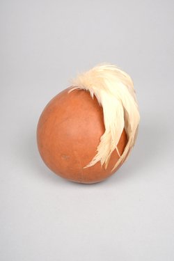 Calabash gourd