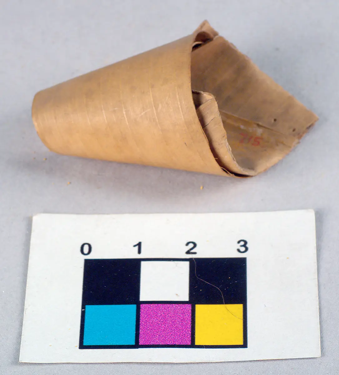 Penis sheath