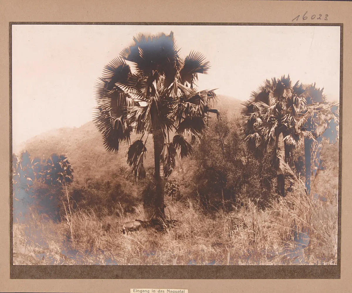 Eingang in das Naquatal