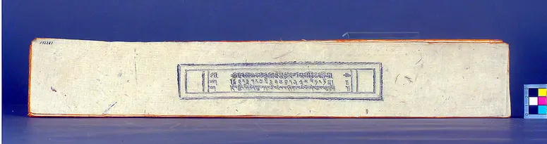 Text