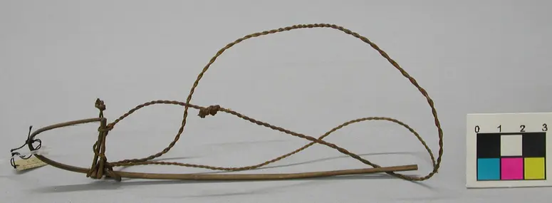 Vogelschlinge