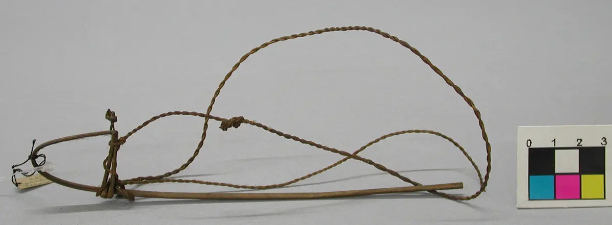 Vogelschlinge