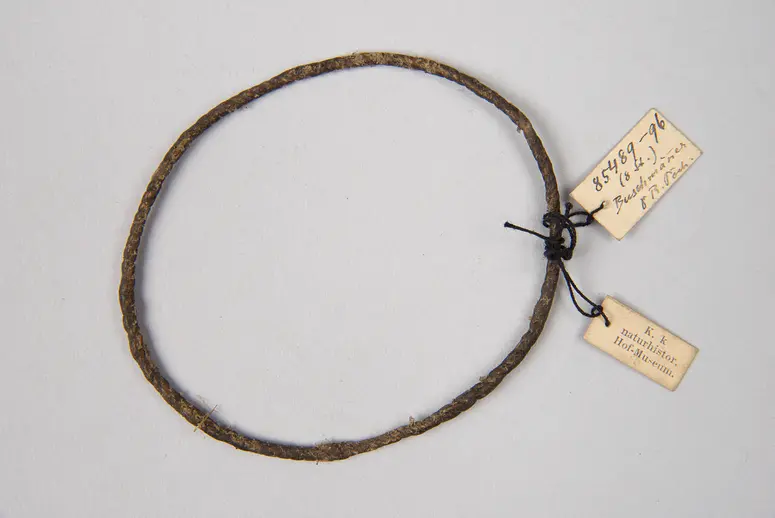 Armband