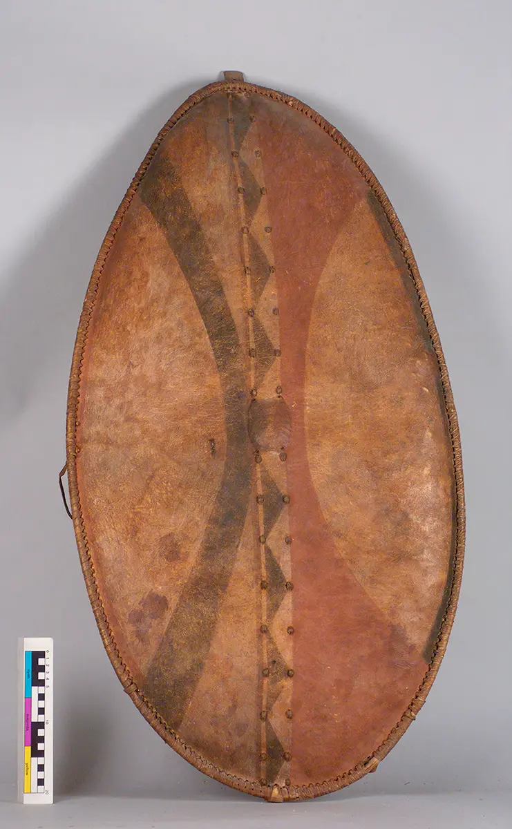 Shield