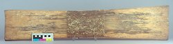 Cassava grater