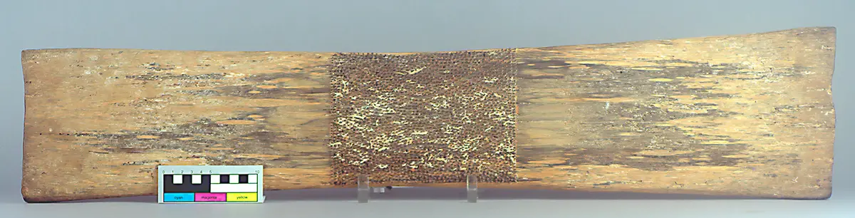 Cassava grater