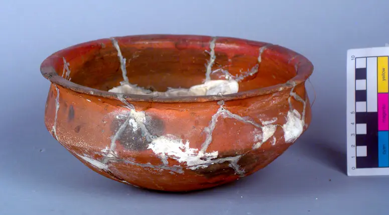 Bowl