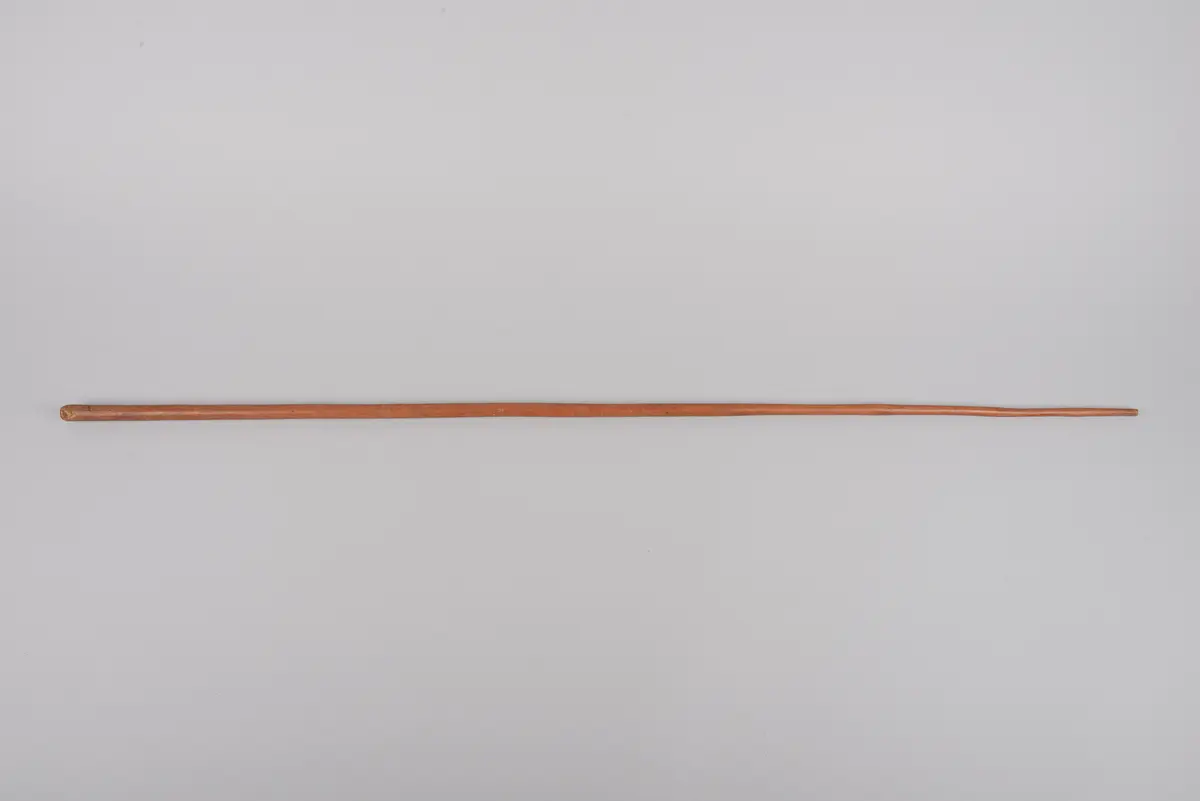 Pfeifenrohr
