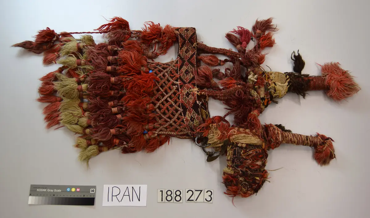 Tierkopfschmuck für Kamel