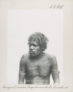Aboriginal warrior, Boogoolmurra tribe, Queensland