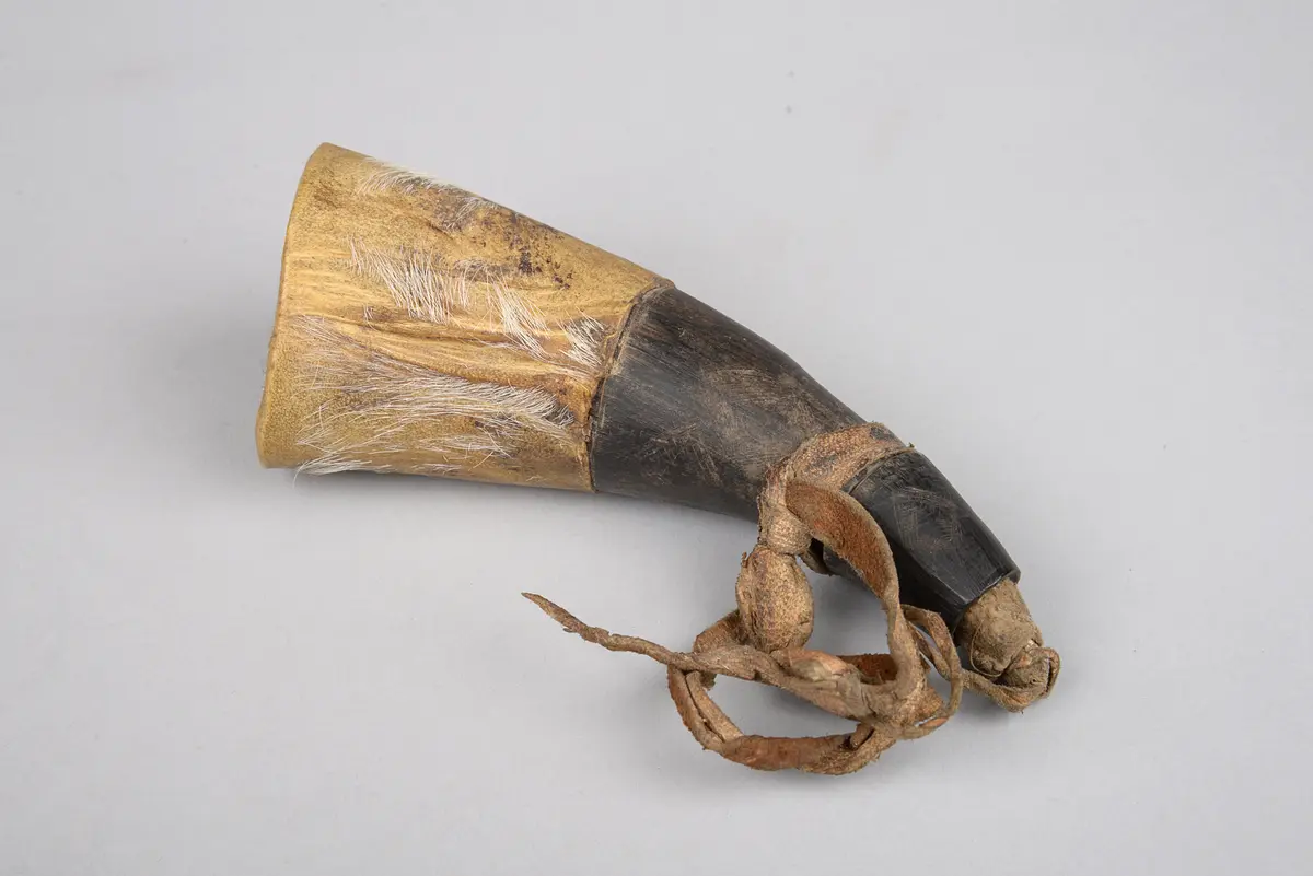 Horn
