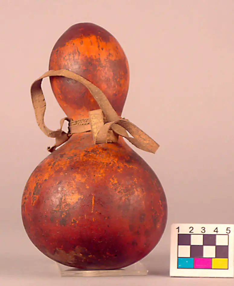 Calabash