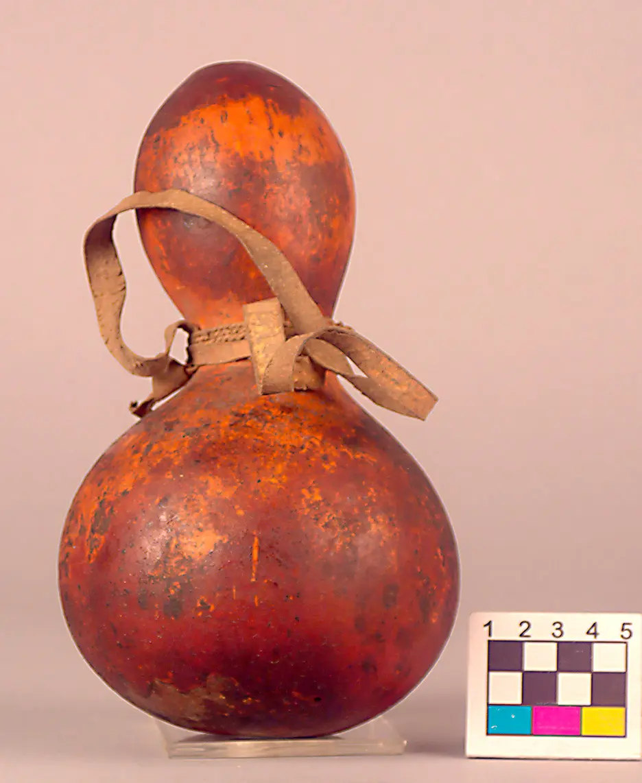 Calabash