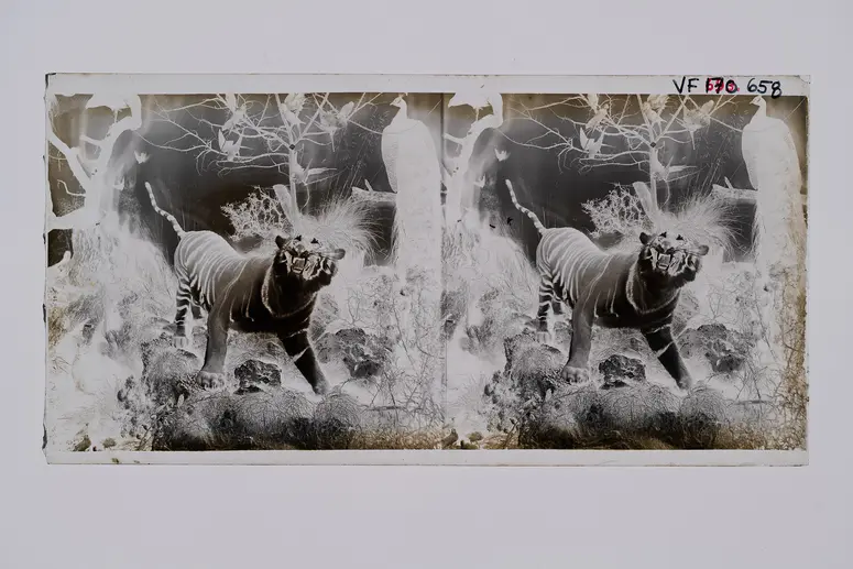 Stereofotografie, Negativ