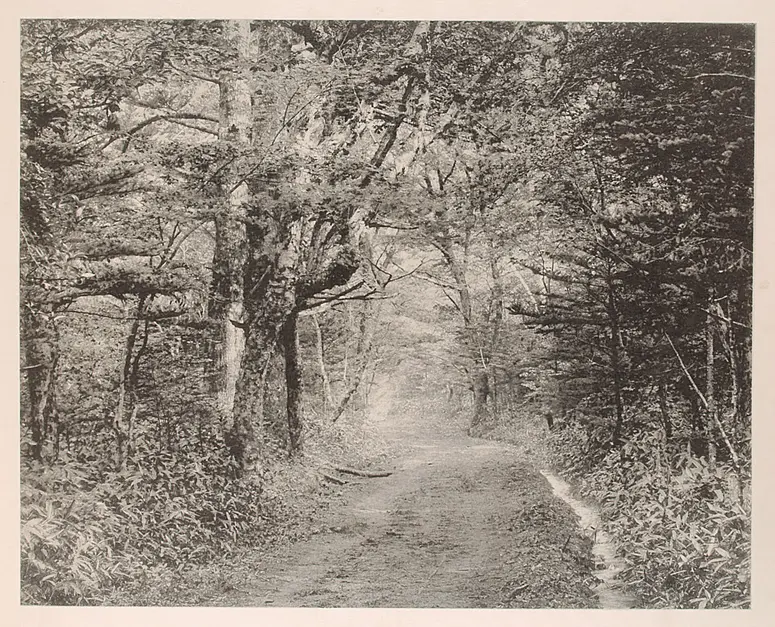 An der Straße von Chuzenji nach Yumoto