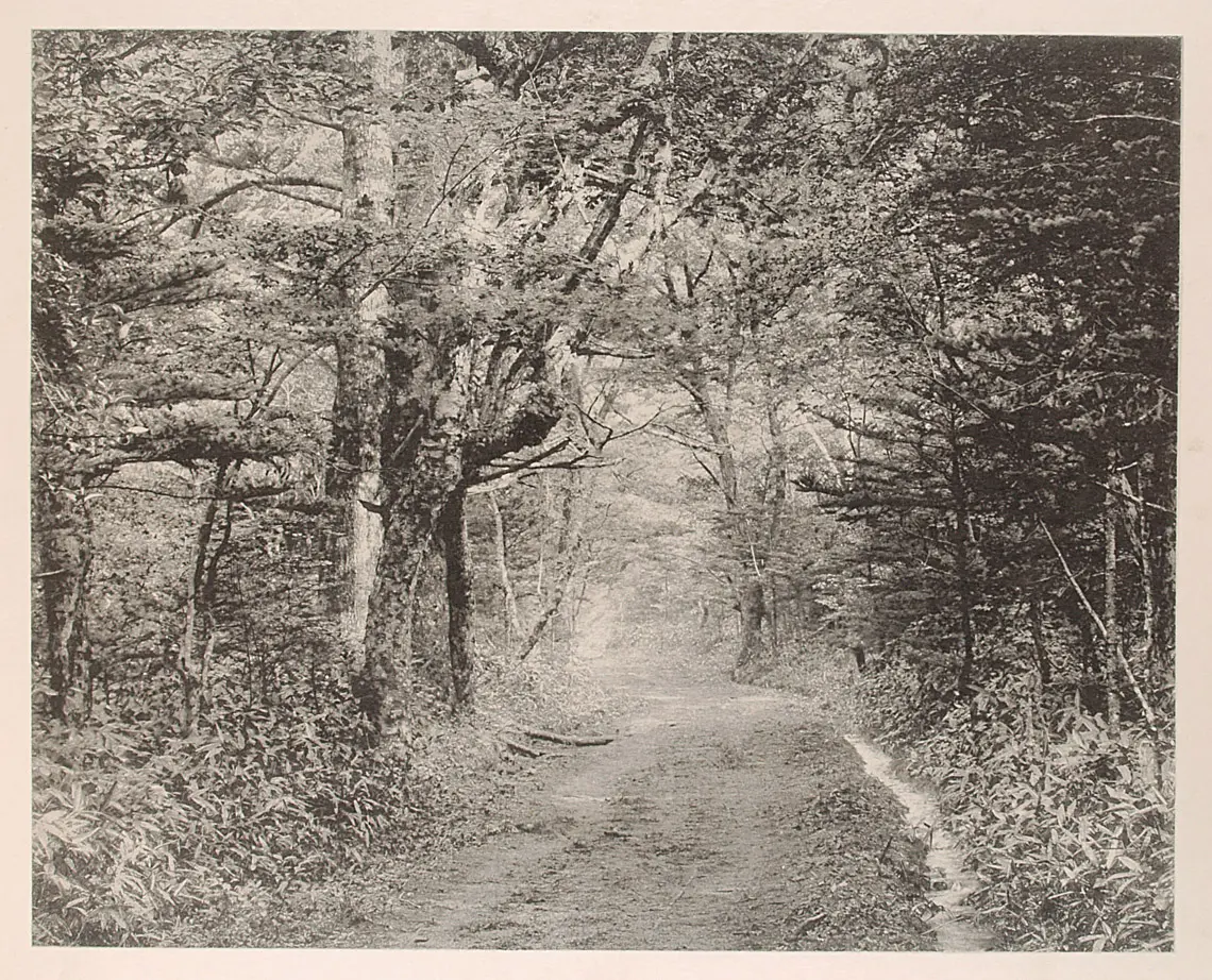 An der Straße von Chuzenji nach Yumoto