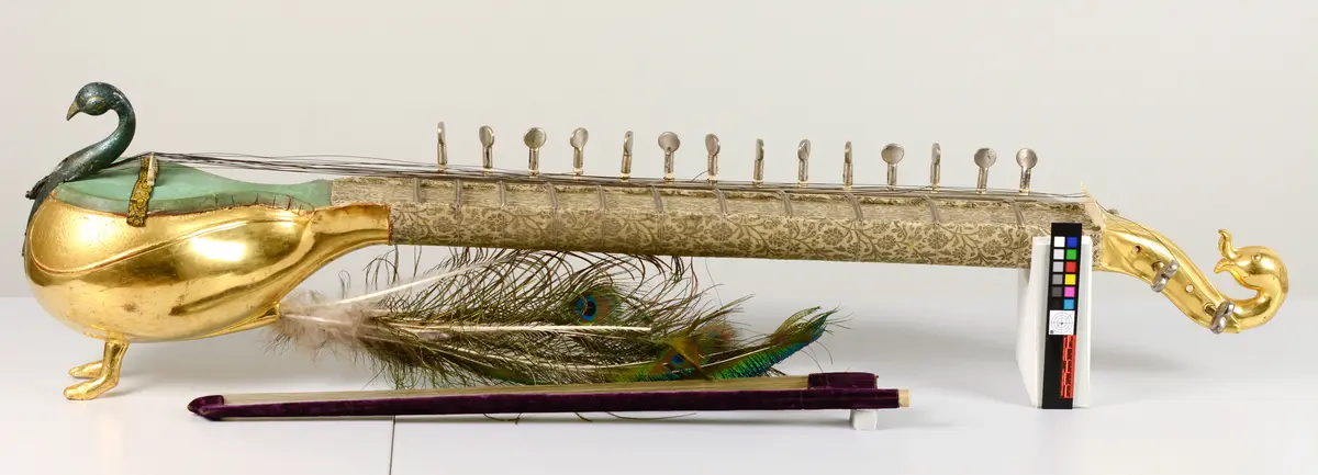 Saiteninstrument, Mayuri