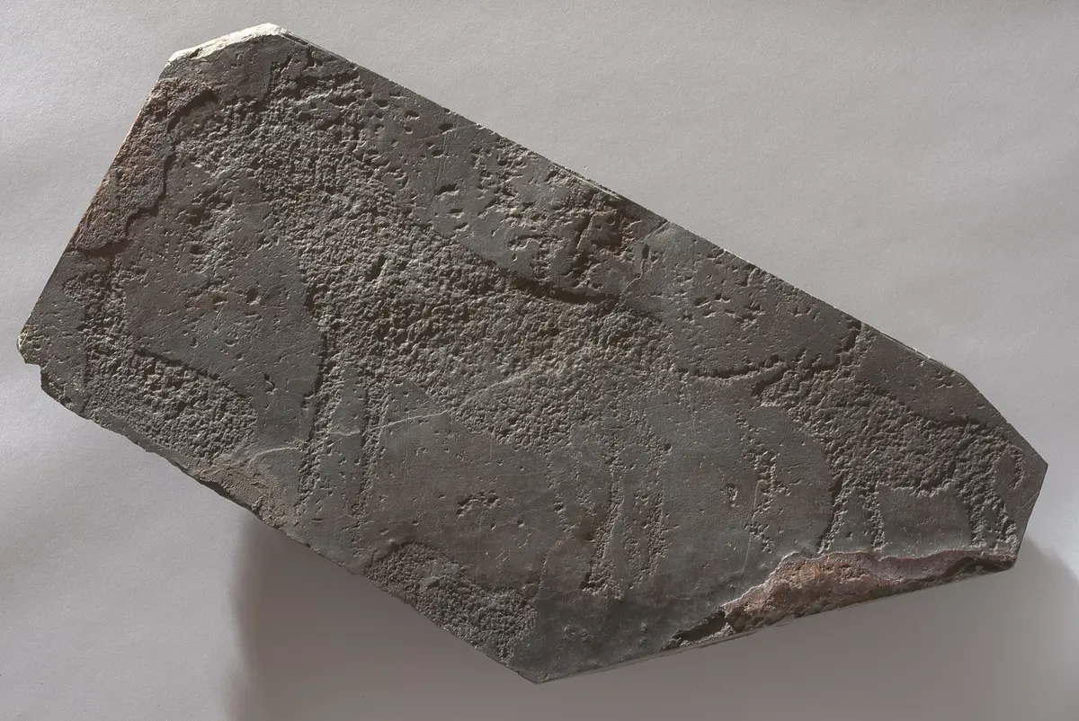 Felsgravierung: Wild