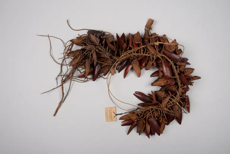 Kopfschmuck für Tänzer*innen