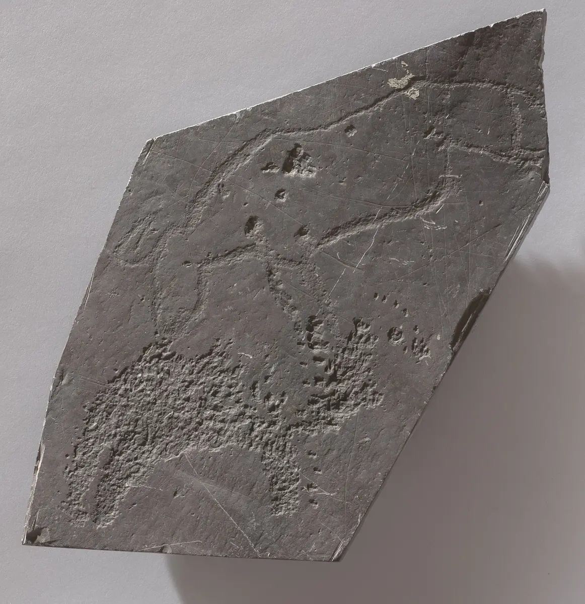 Felsgravierung: Gnu, Schakal