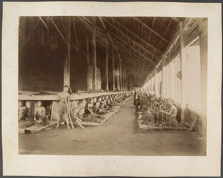 Tabakfabrik mit einheimisching Arbeitern