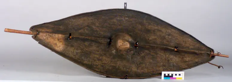 Shield