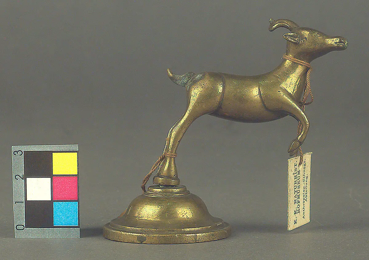 Gazelle