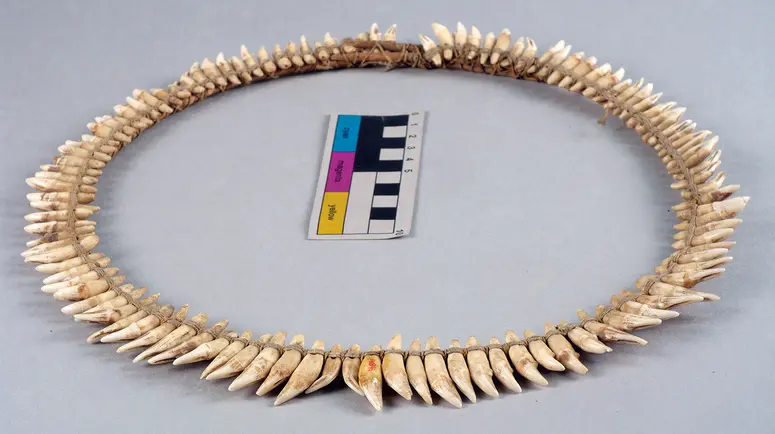 Necklace