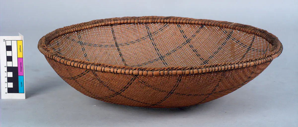 Sieve