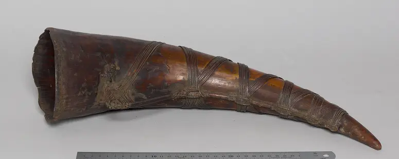 Trinkhorn