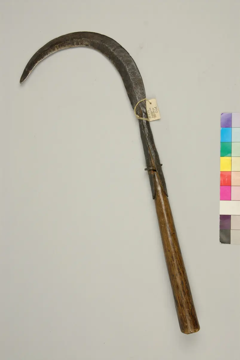 Sichel