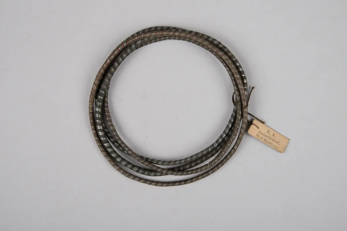Armbänder (56.528 bis 56.531)