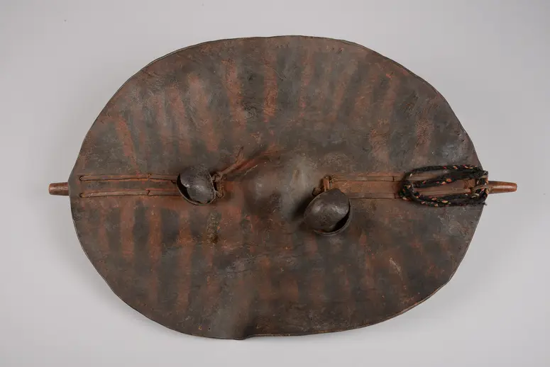 Shield