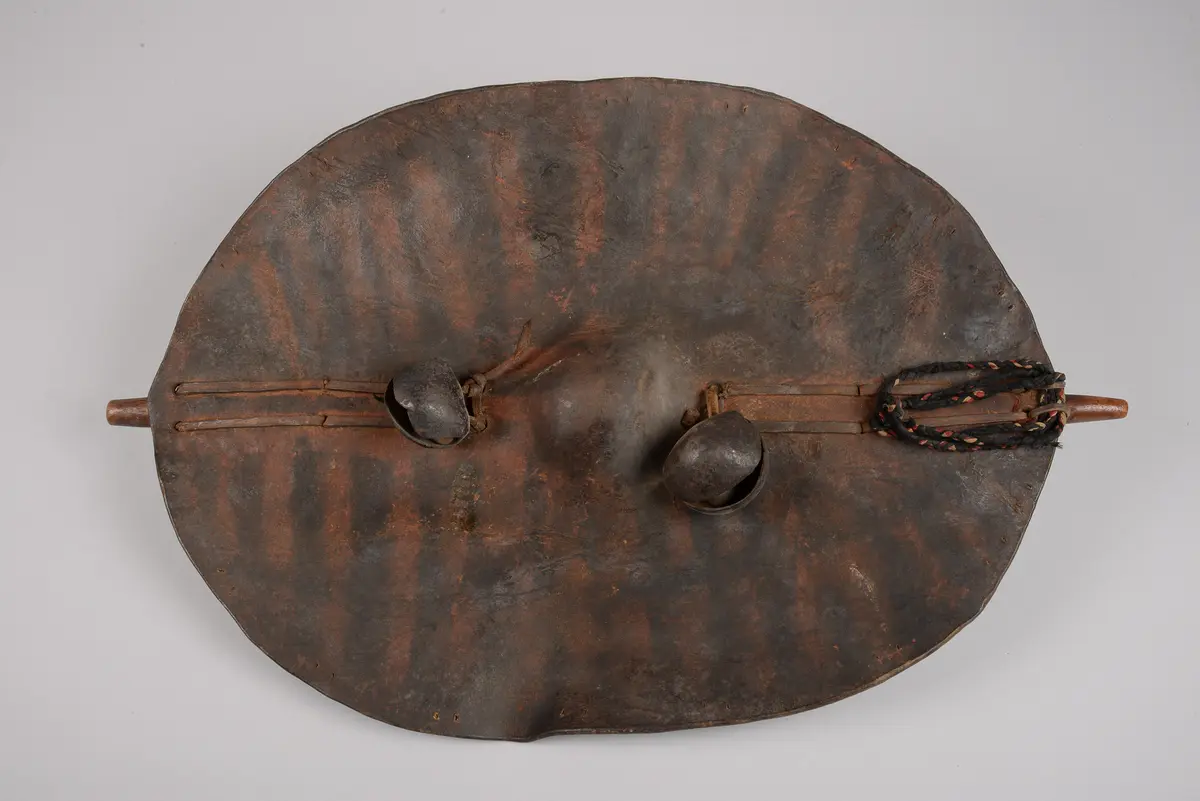 Shield