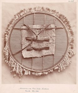 Federschild mit Kojote