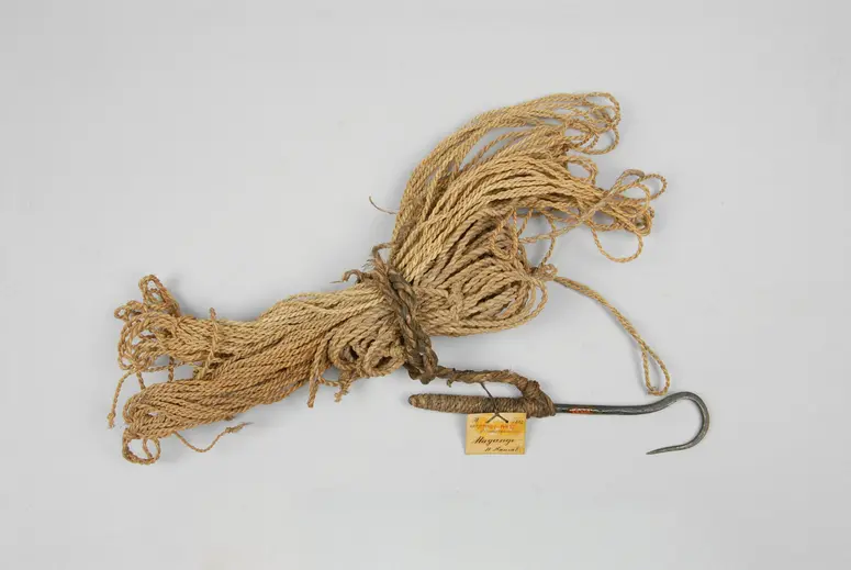 Schnüre und Haken zum Fischfang
